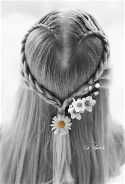 Qui chantait "Si vous allez à San Francisco, vous les verrez des fleurs dans les cheveux" ?