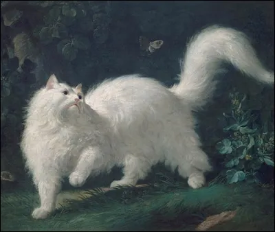 Comment s'appelle le chat (angora blanc) de Louis XV, qui avait le droit d'assister au Conseil et que le mémorialiste Saint-Simon décrivait comme un « collègue » du roi ?