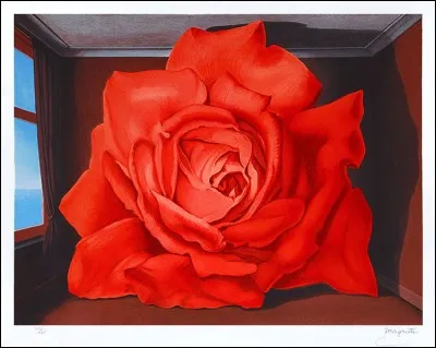 A qui doit-on cette rose ?