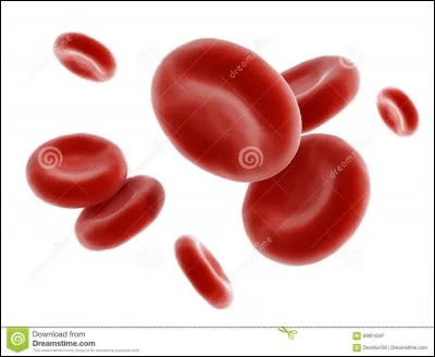 Quel est l'ordre de grandeur de la dimension du globule rouge en nanomètres ?