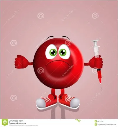 Quel est l'objet le plus grand entre la molécule et le globule rouge ?