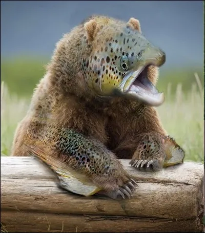 Je l'ai prise à la mouche, c'était ma première !