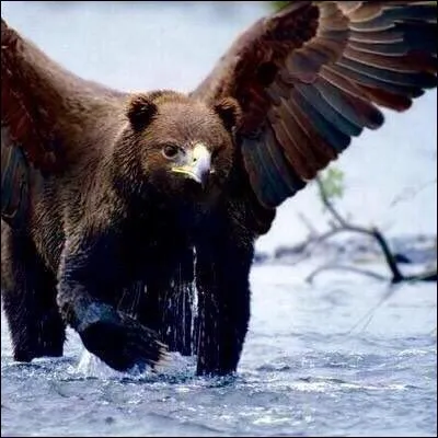 Il s'est envolé juste devant moi !