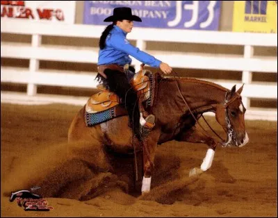 Comment s'appelle cette discipline ?