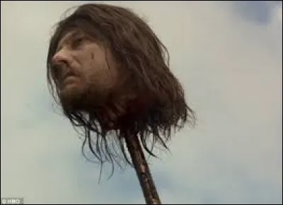 Qui a tranché la tête de Ned Stark ?