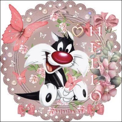 Synonyme de "Bonjour ! Bonsoir !"