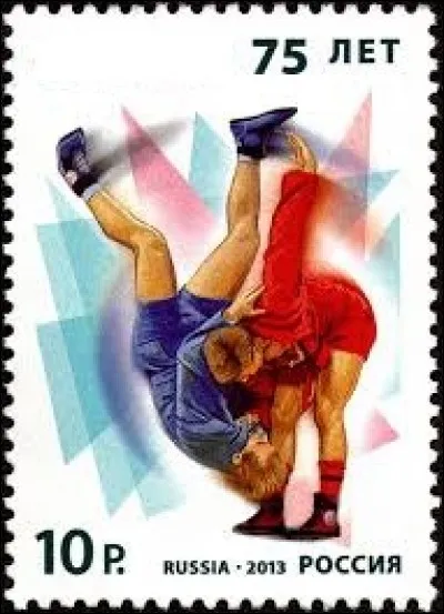 Art martial et sport de combat d'origine russe mélangeant la lutte et le judo :