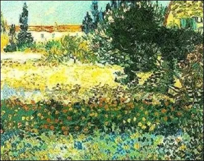 Ces branches sombres du figuier se détachent dans le ciel azuré. Comment qualifier les teintes plus claires ?