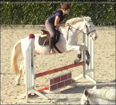 Quel sport pratique-t-on avec un cheval ?