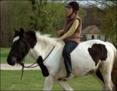 Peut-on monter un cheval à cru ?