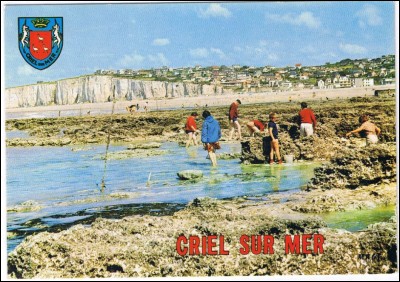 Criel-sur-Mer est situé en Seine-Maritime, en Normandie et en Vallée de l'Yères. Quel est le gentilé de Criel ?