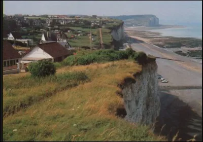 Vieilles de 80 millions d'années, les falaises de Criel-sur-Mer surplombent la mer à 106 m d'altitude. Elles se situent sur les bords de la Manche, mais sur quelle côte du littoral ?