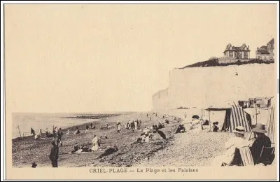 Dans les années 1875-1880, la plage de Criel-sur-Mer était la plus favorisée de toutes les stations de la côte. Quelle était cette prescription conseillée aux familles et aux enfants par les médecins "spéciaux" de l'époque ?