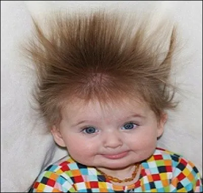 Que ne dites-vous d'une chevelure rebelle au coup de peigne ?