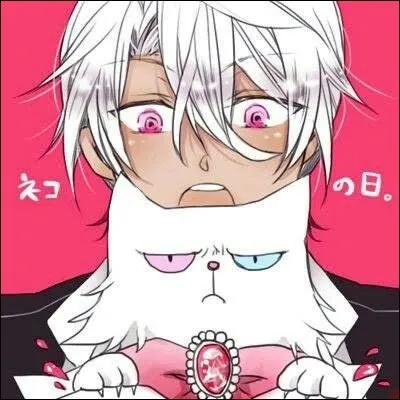 Comment s'appelle ce chat aux yeux vairons ?