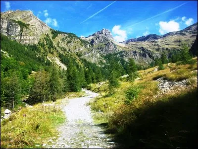 Quel primate, vivant dans la région des Grands Lacs africains, possède une espèce dite "des montagnes" considérée comme en danger critique d'extinction ?