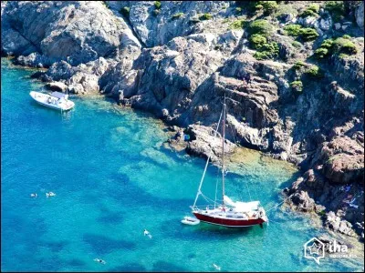 Par qui fut-elle introduite pour la première fois en Méditerranée ?