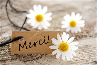 Comment dit-on "merci" ?