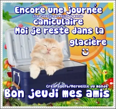 Comment dit-on "jeudi" ?