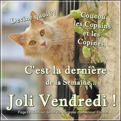 Comment dit-on "vendredi" ?