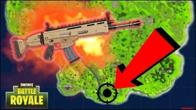 Quel est le nom de cette arme ?