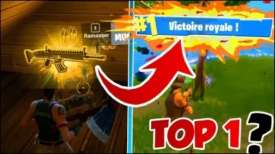 Quelle est la plus grande rareté ?