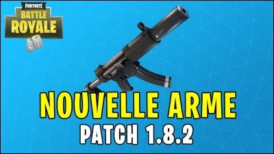 Quel est le nom de cette arme ?