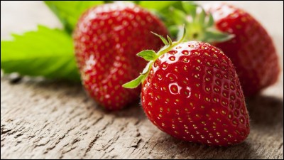 Sur quoi poussent les fraises ?