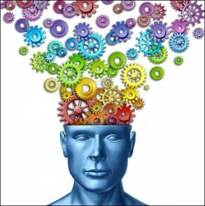 Quel est ton pire défaut ?