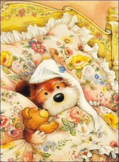 Nounours a de la fièvre ! Comment est-il ?