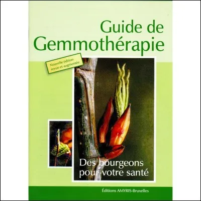 Qu'est-ce que la gemmothérapie ?