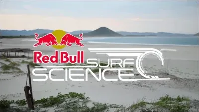 Tu voudrais des cheveux...