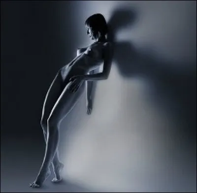 Avec quelle attitude correspond l'image ?