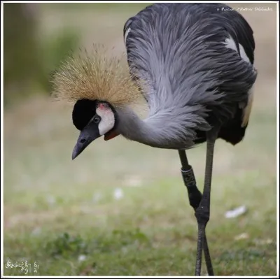 Le rendez-vous semble compromis, il ne viendra pas et vous êtes, là, à poser !