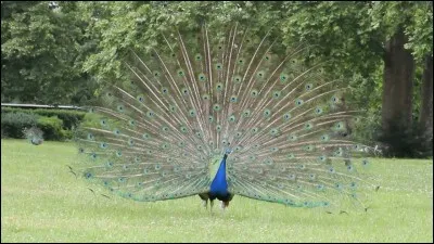 Quelle liste contient un intrus ?