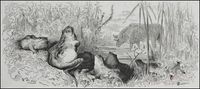 Se rengorger ayant un rapport avec la vanité est synonyme d'enfler. Qui en fit preuve dans une fable de La Fontaine ?