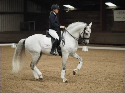 Quel est le rapport entre ces mots : s'agiter, piaffer et trépigner ?