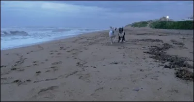 S'ébattre indique la joie.