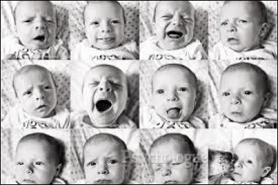 La joie est l'une des quatre grandes émotions universelles. en plus de la colère, savez-vous quelles sont les deux autres ?