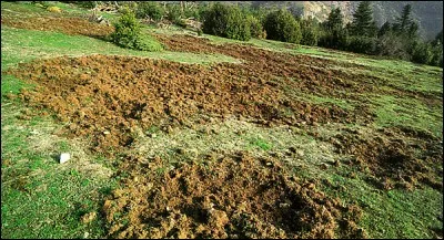 Qu'appelle-t-on boutis ?