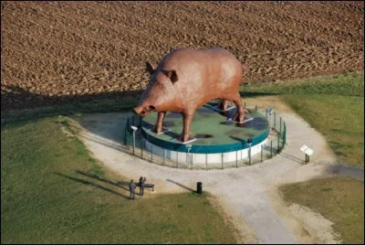 De quelle région, le sanglier est-il le symbole ?