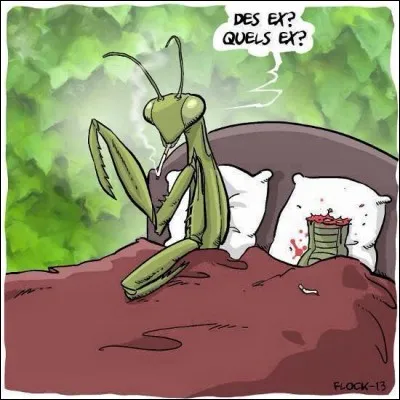 Dur à entendre et difficile à avaler.