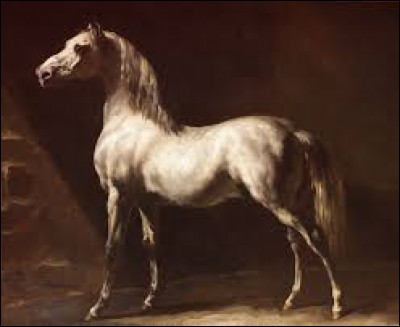 "Cheval Arabe gris-blanc" est un tableau de ...