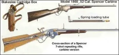 Bien qu'il n'ait jamais détrôné le Springfield en quantité, il n'en est pas de même concernant la qualité de ce fusil à répétition se chargeant par la culasse. On active la recharge en allongeant le cric sous le fusil. Il possède une capacité de 7 balles.
Les quelques 150 000 en service ont grandement contribué à la victoire du Nord.