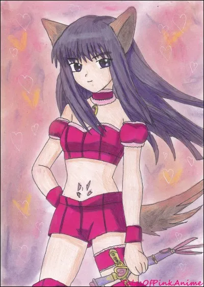 Aime-tu les animaux ?