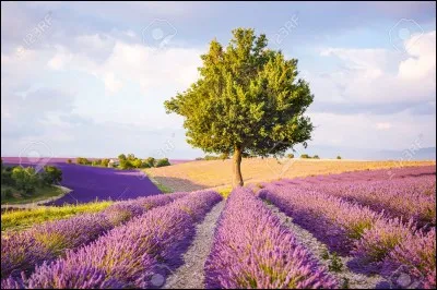 Quel est ton endroit préféré ?