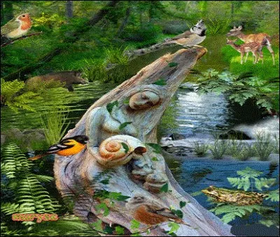 Que semble-t-il tous se dire ?