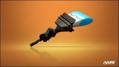 Quel est le nom de cette arme ?