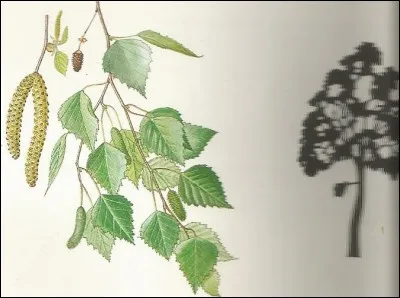 C'est celui de la présentation.