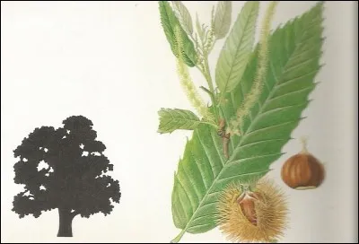 Il a nourri beaucoup de monde.